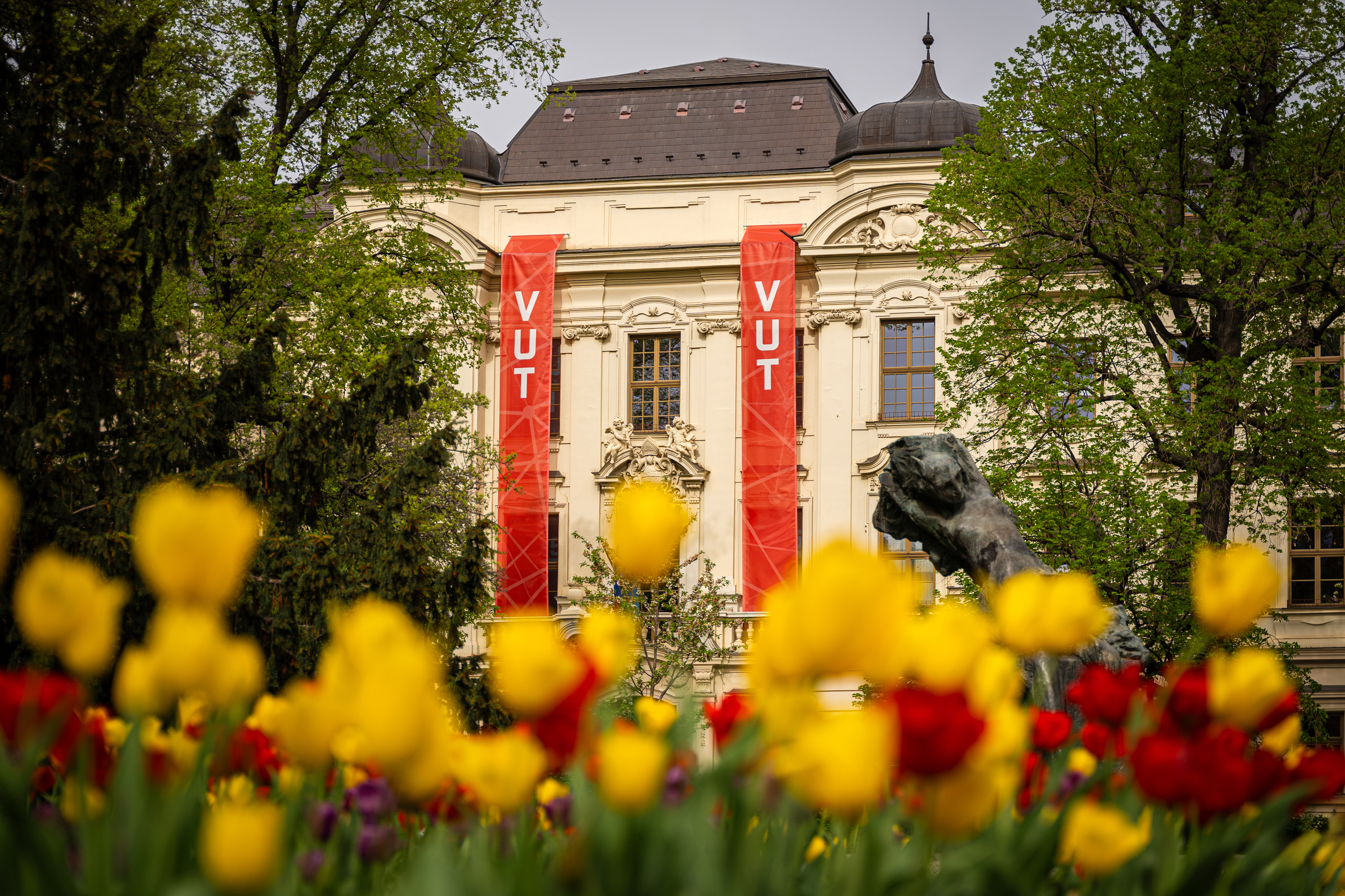 VUT RE Rektorat ilustracni tulipany 2024 04 09 Konicek 006